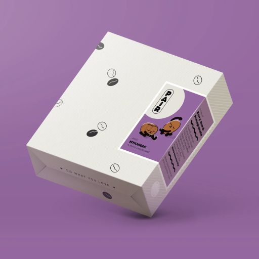 120 Natural-Processed Coffee Beans from Myanmar