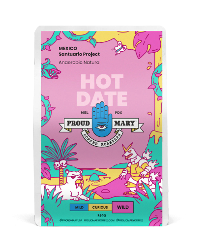 MEXICO | Santuario Project | Red Bourbon | Anaerobic Natural