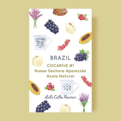 BRAZIL COCARIVE #1 Nossa Senhora Aparecida Acaia Natural