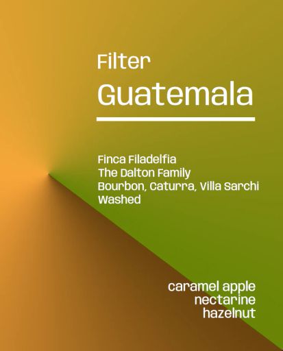 Guatemala Finca Filadelfia - Filter
