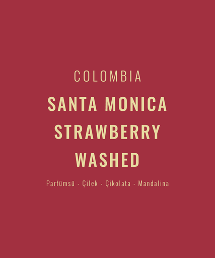 Colombia – Santa Monica Strawberry Washed