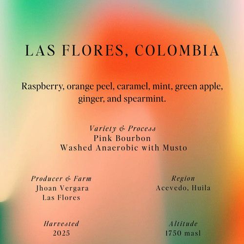 Pink Bourbon, Washed Anaerobic with Musto, Las Flores