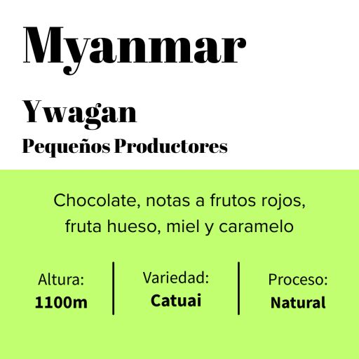 Myanmar - Ywagan - Pequeños Productores - Natural