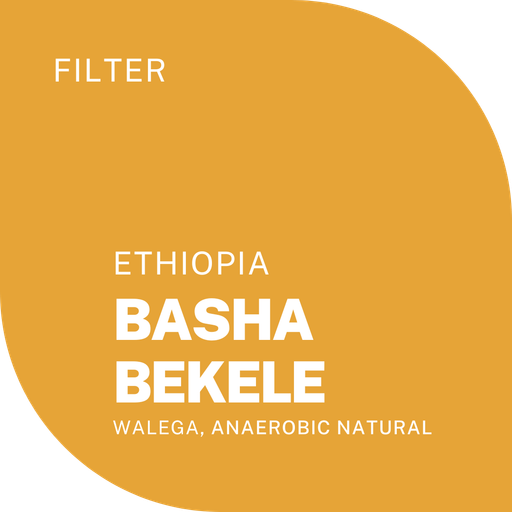 BASHA BEKELE