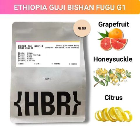 Ethiopia Guji Bishan Fugu G1 - (Filter)