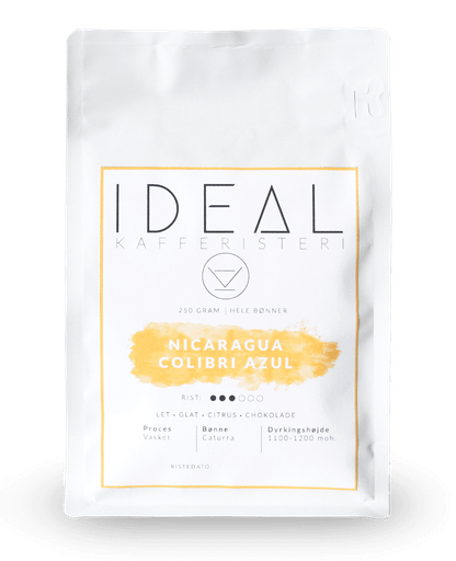 Nicaragua Colibri Azul