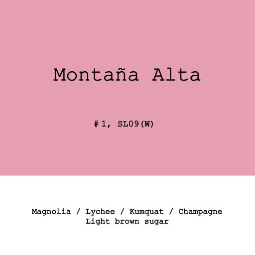 Peru Montaña Alta SL09 Lot1 Washed
