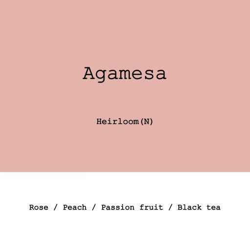 Ethiopia Agamesa Heirloom Natural G1