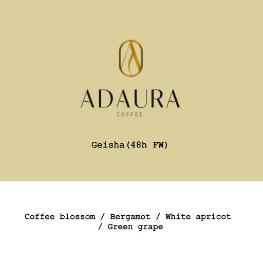 Panama Adaura Finca Lorayne Geisha 48h FW