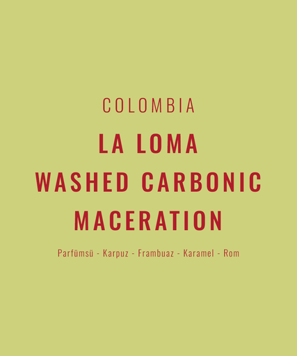 Colombia – La Loma Washed Carbonic Maceration