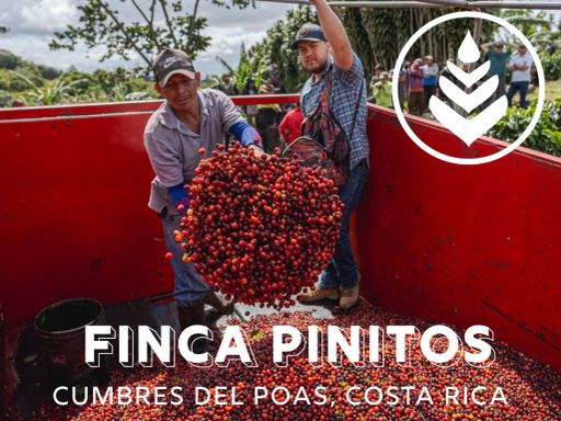 FINCA PINITOS