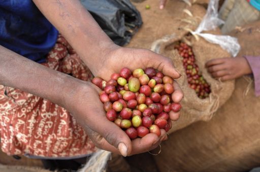 Ethiopia Nano Challa