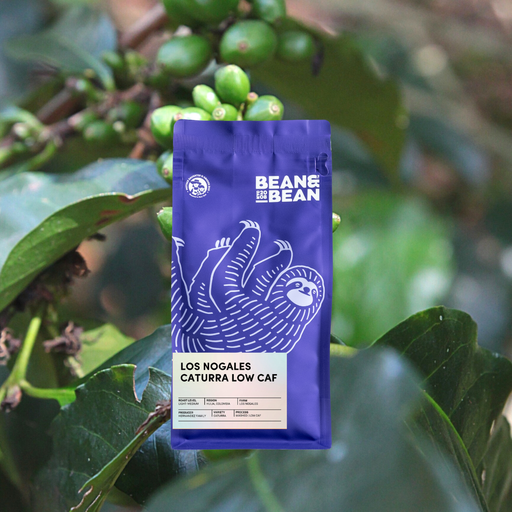 Los Nogales Caturra Low Caf