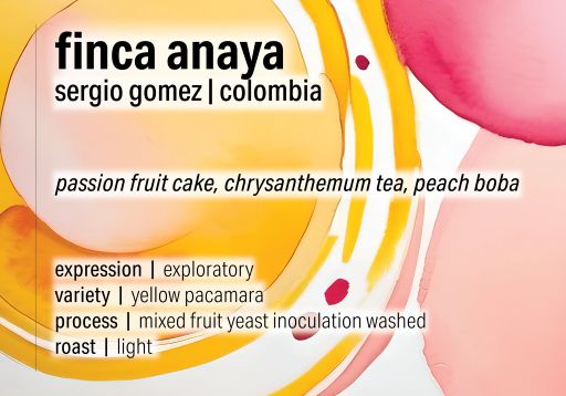 Sergio Gomez Finca Anaya - Mixed Fruit Yeast Inoculation Washed Yellow Pacamara