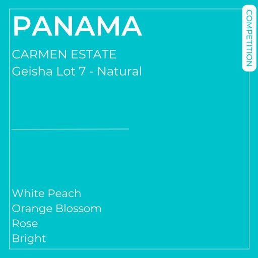 Panama - Paso Ancho - Finca Carmen Estate - Natural Geisha Lot 7