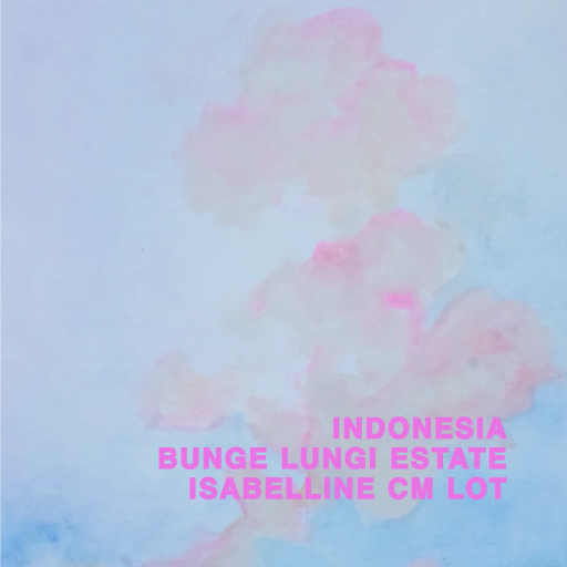 Indonesia Bunge Lungi Estate Isabelline CM Lot