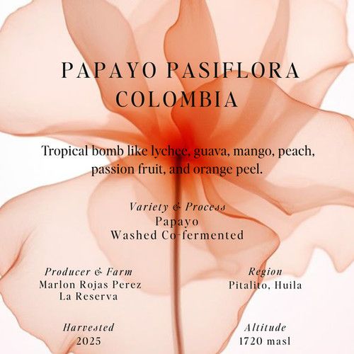 Papayo Pasiflora, Washed Co-Fermented, Colombia