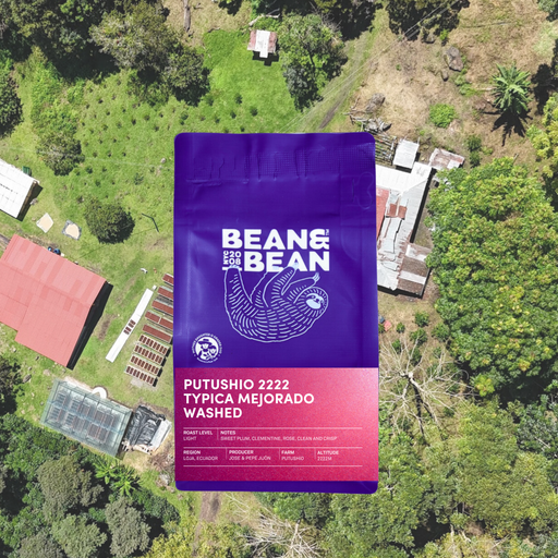 Ecuador Putushio Typica Mejorado Washed