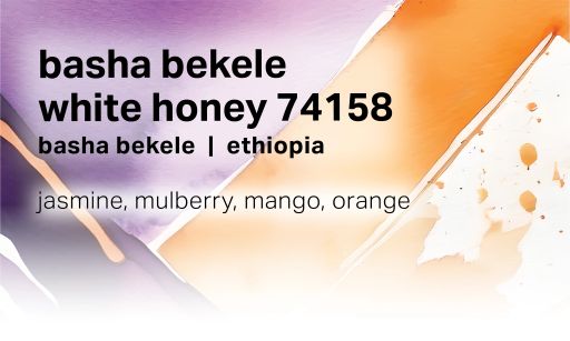 Basha Bekele Murago - White Honey Washed Landrace