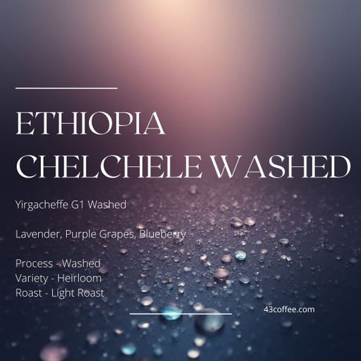 Ethiopia Chelchele Washed