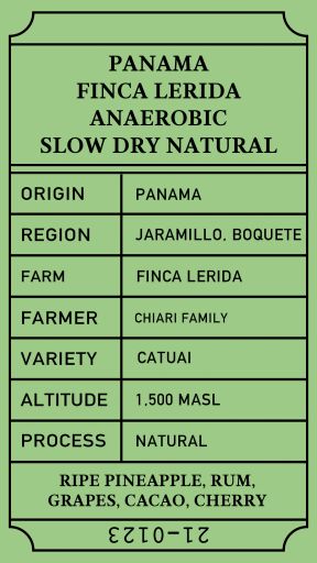 Panama Lerida ASD Natural
