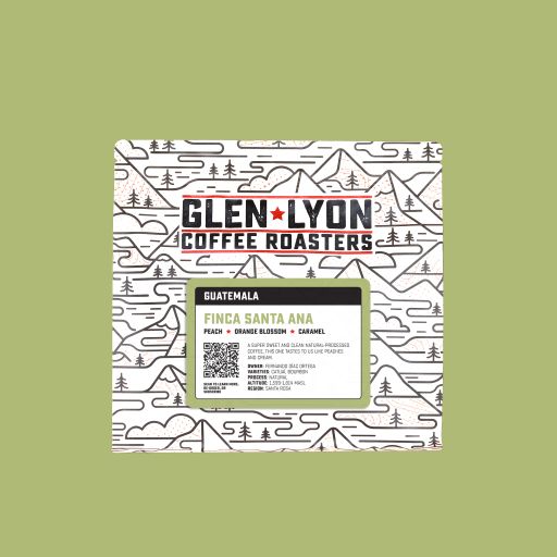 Guatemala Santa Ana Natural