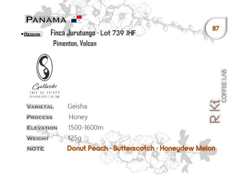 Panama-Finca Jurutungo Lot 793JHF Geisha