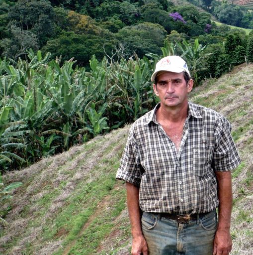 Brazil | Sitio Sertaozinho | Natural