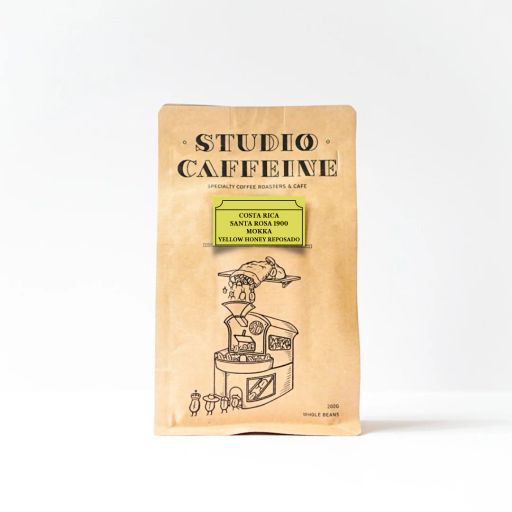 Costa Rica Tarrazu Santa Rosa 1900 Mokka Yellow Honey Reposado