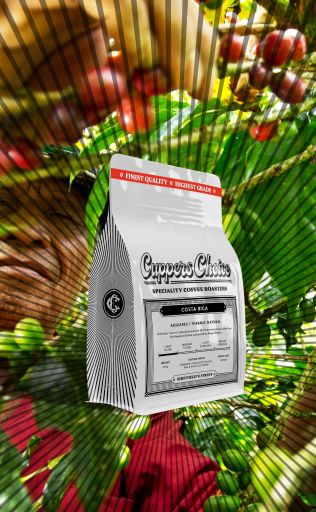 Aquiares | Thermic "Churro" Natural | Costa Rica