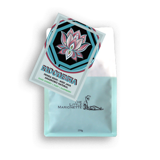 Indonesia Frinsa Edun