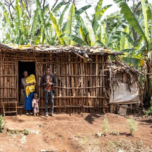 Ethiopia - Hambela Wamena - Special Natural