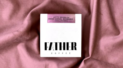 Letty Geisha by Diego Samuel Bermudez