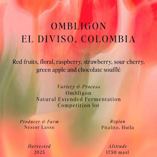 Ombligon, Natural Extended Fermentation, El Diviso