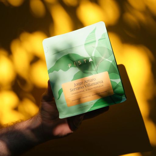 Jorge Arturo Serrano Villanueva