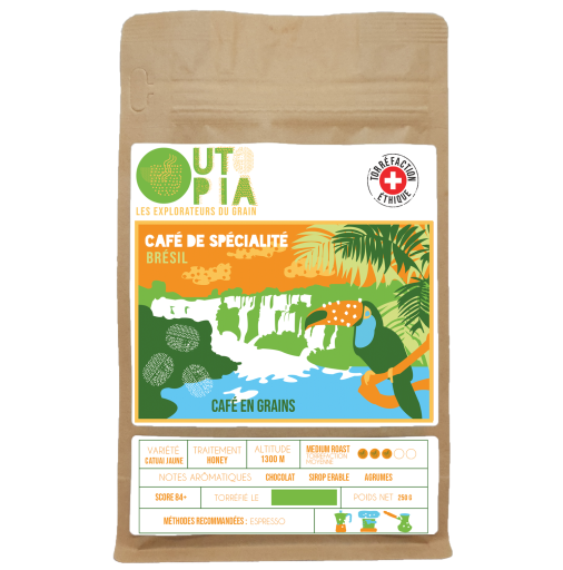 BRESIL | CARMO DE MINAS - ESPRESSO