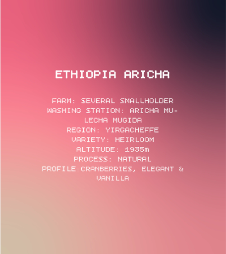 Ethiopia Aricha