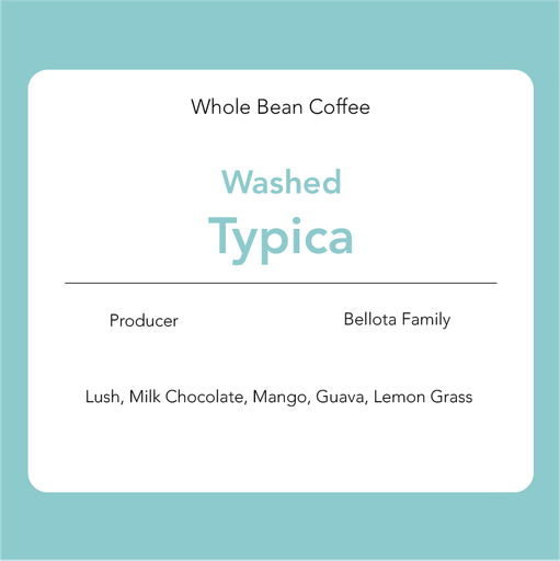 Typica – Washed : Bellota Family