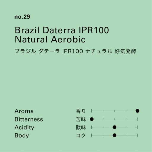 no.29 ブラジル ダテーラ IPR100 ナチュラル 好気発酵