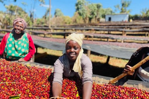 Äthiopien, Guji, Tullu Demtu