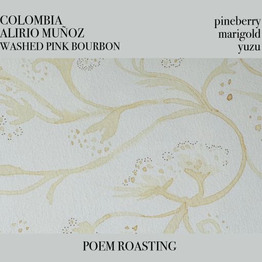 Colombia Alirio Muñoz Pink Bourbon