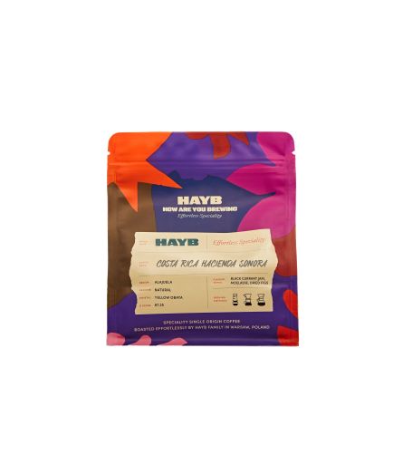 Costa Rica Hacienda Sonora