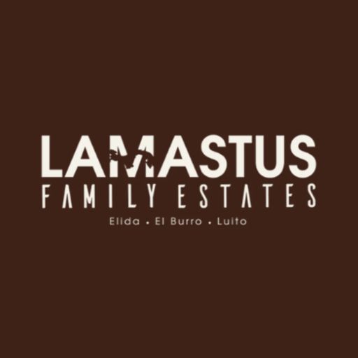 Lamastus Family Estates Elida Symmetrical GW ASD RFI Aguacate Geisha