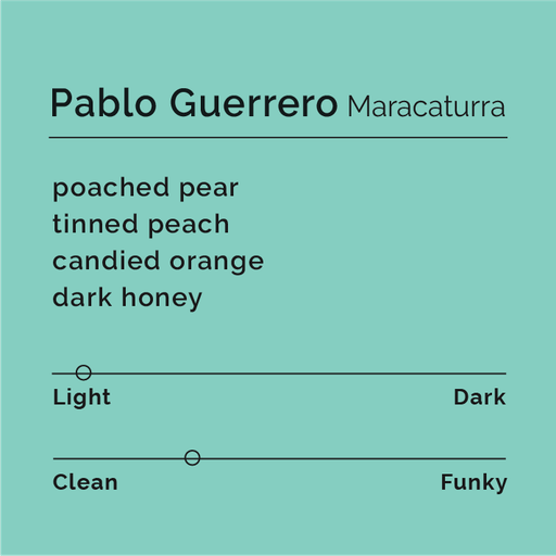 Pablo Guerrero - Maracaturra