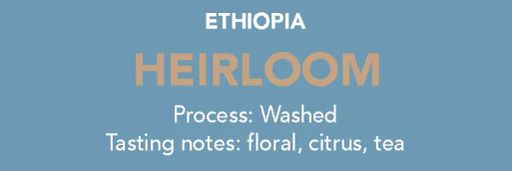 Dose - Ethiopia Heirloom