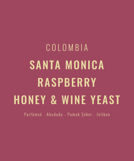 Colombia – Santa Monica Raspberry Honey&Wine Yeast