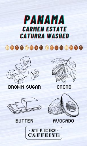 Panama Carmen Estate Caturra Fully Washed