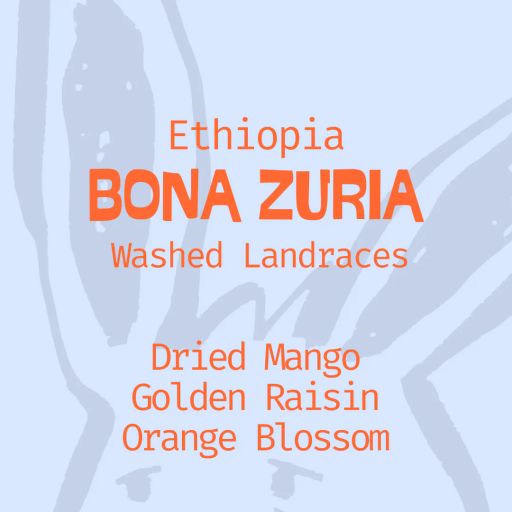 Ethiopia Bona Zuria Washed Landraces