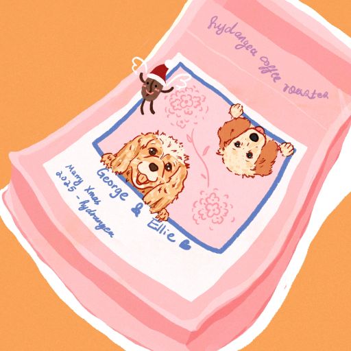 Elipse Gesha - Iris Estate