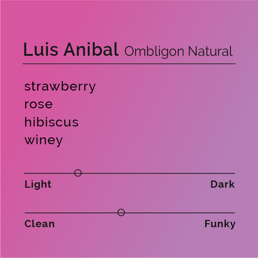 Luis Anibal - Ombligon Natural
